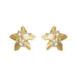 Designer-made earrings featuring 18K gold-plated starfish and zirconia, set in 925 silver. A stylish and luxurious piece with a marine-inspired design  perfect for women.
